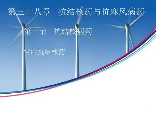 异烟肼ppt课件