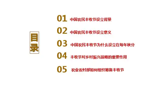 丰收节介绍PPT模板课件