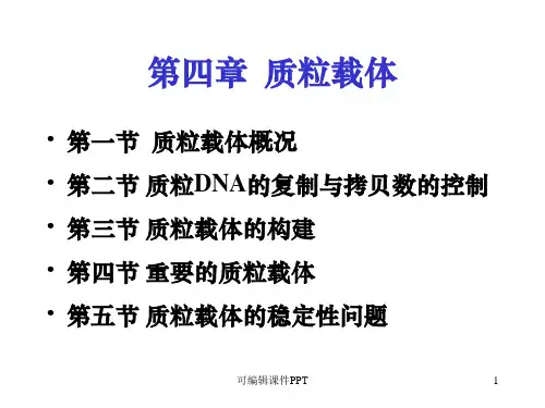 第四章(质粒载体)ppt课件