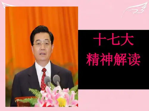 党的十七大精神解读