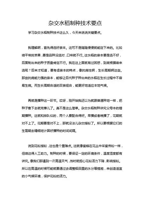 杂交水稻制种技术要点