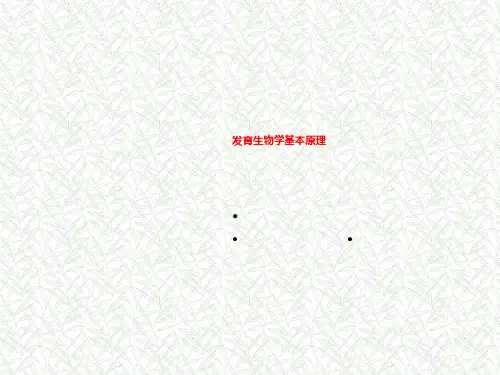 发育生物学基本原理