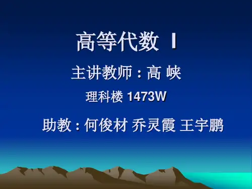 北京大学高等代数3