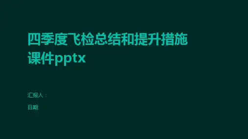 四季度飞检总结和提升措施课件pptx
