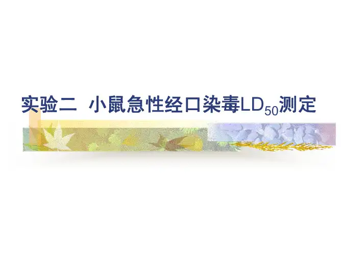 实验1-小鼠经口染毒LD50测定
