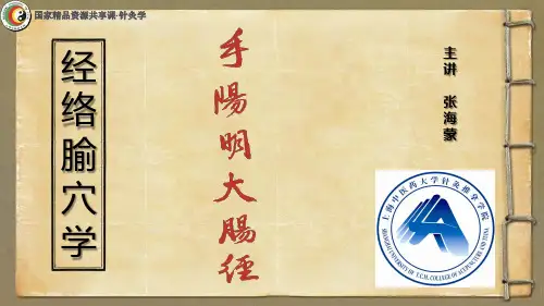 中医针灸学 手阳明大肠经