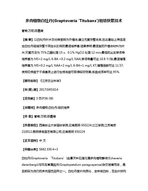多肉植物白牡丹(Graptoveria 'Titubans')组培快繁技术