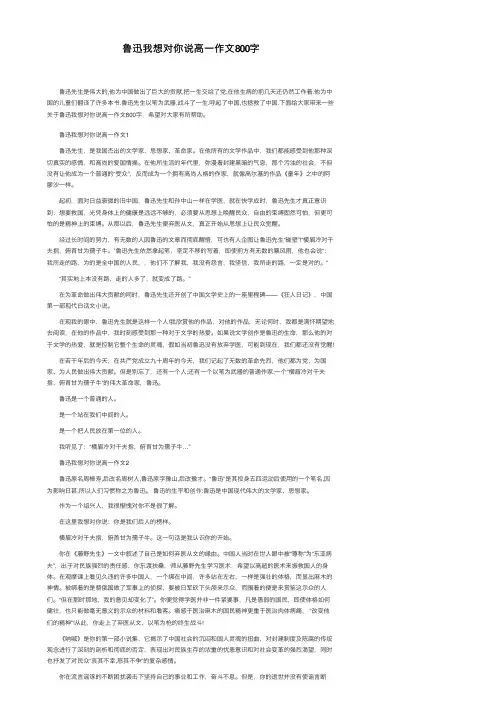 鲁迅我想对你说高一作文800字