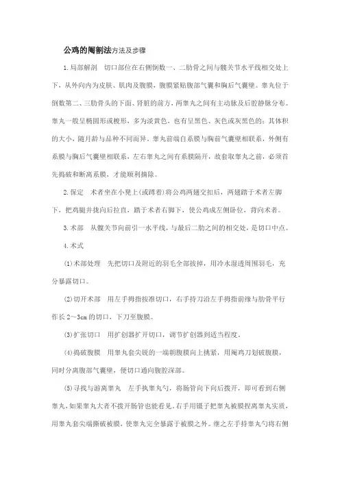 公鸡的阉割法方法及步骤Microsoft Word 文档