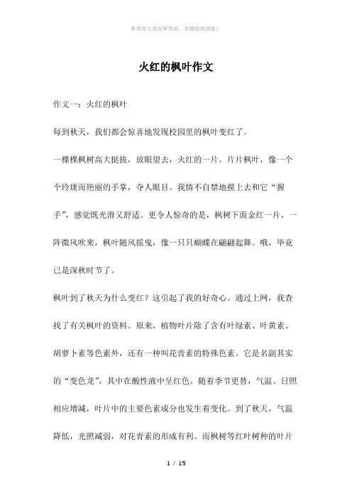 火红的枫叶作文