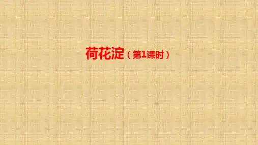 统编版高中语文选择性必修中册第二单元《荷花淀》课件