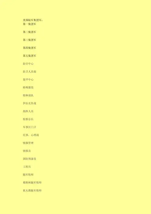 美军新版臂章识别