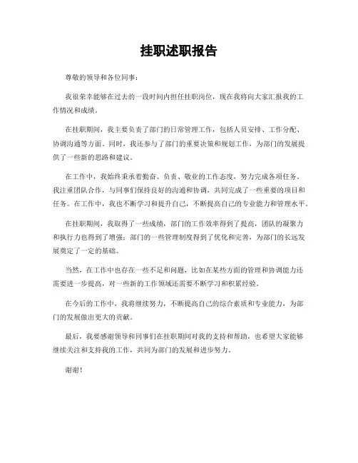 挂职述职报告
