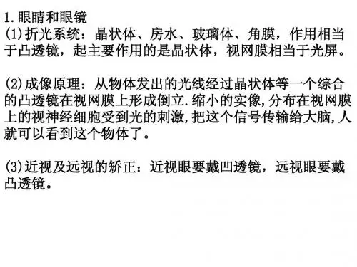 眼睛和眼镜、显微镜和望远镜