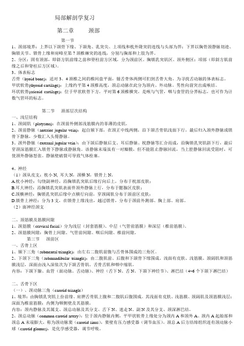 局部解剖学总结..