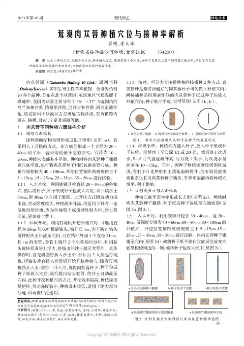 荒漠肉苁蓉种植穴位与接种率解析