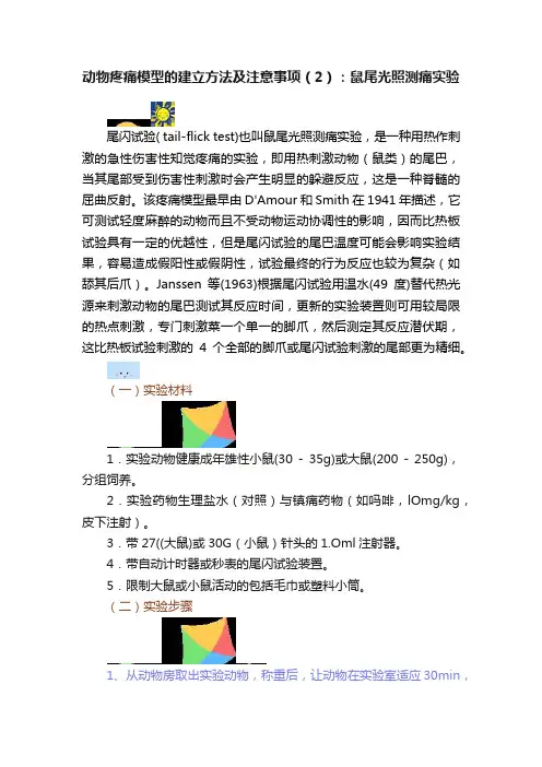 动物疼痛模型的建立方法及注意事项（2）：鼠尾光照测痛实验