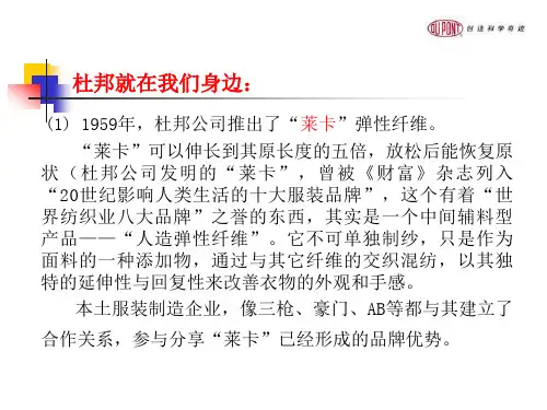 杜邦安全理念课件