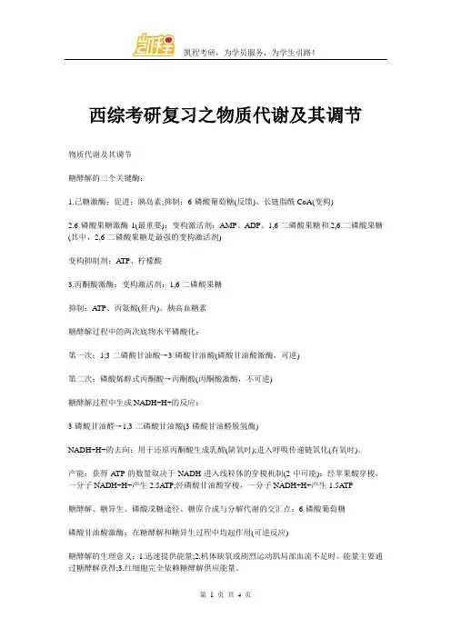 西综考研复习之物质代谢及其调节