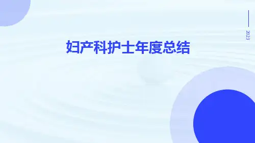妇产科护士年度总结PPT