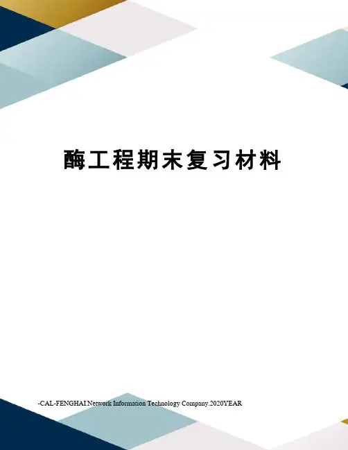酶工程期末复习材料