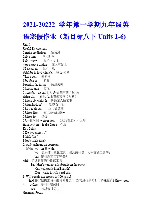 2021-2022学年第一学期九年级英语寒假作业