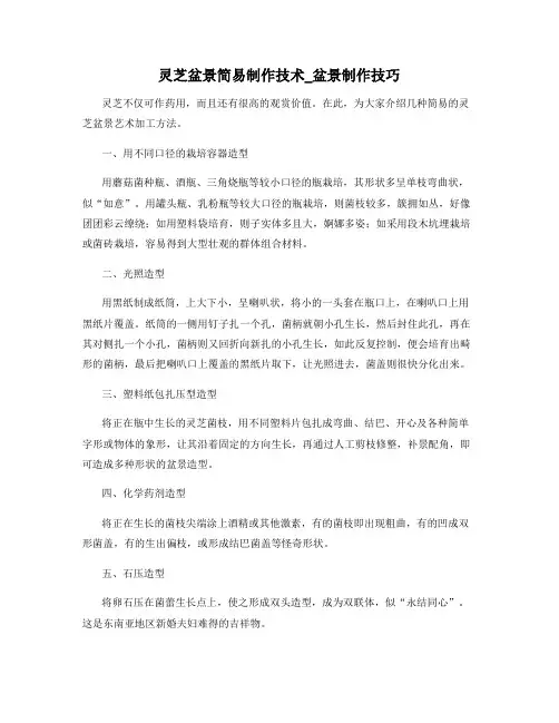 灵芝盆景简易制作技术_盆景制作技巧