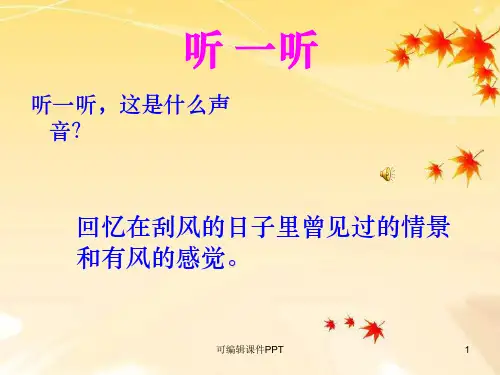 湘版美术三年级下册《风来了》1精ppt课件