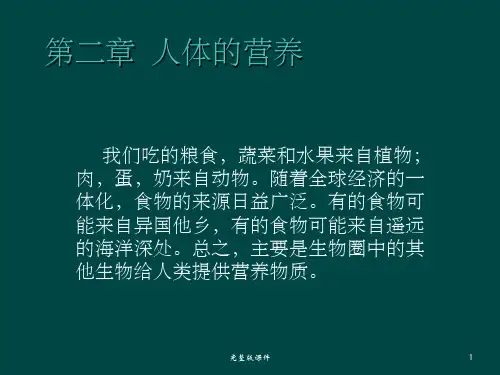 人体的营养 七年级生物学 下册PPT课件