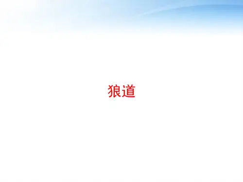 狼道 ppt课件