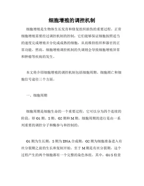 细胞增殖的调控机制