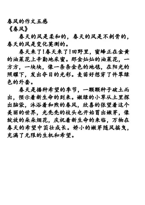 春风的作文五感