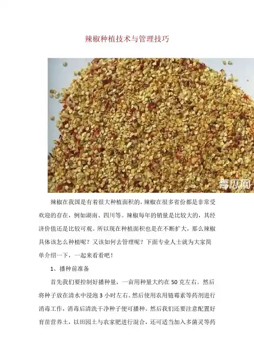 辣椒种植技术与管理技巧