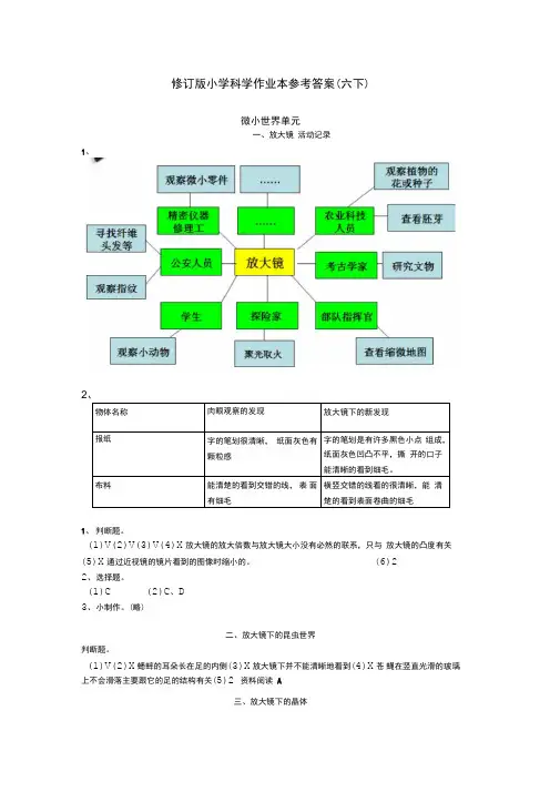 新教科版六年级下册科学作业本参考答案(含活动记录)(DOC)