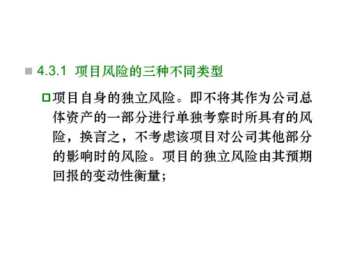 资本预算中的风险分析和风险调整