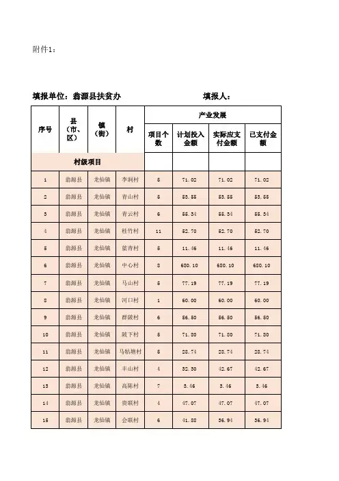 项目汇总表(2019年度)