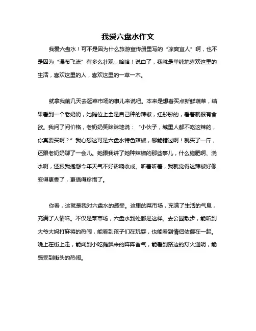 我爱六盘水作文