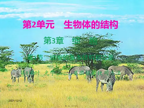 七年级生物上册第3章第1节细胞的基本结构和功能