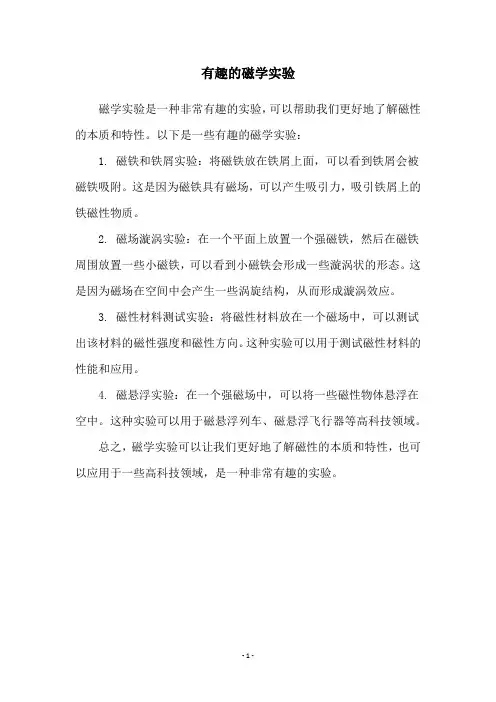 有趣的磁学实验