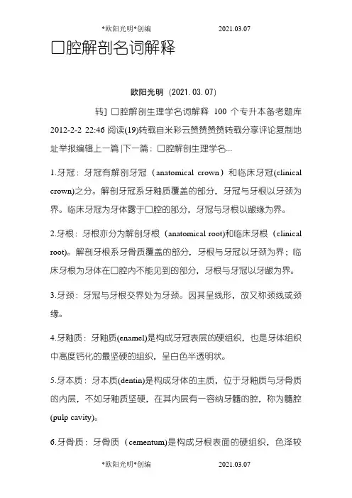 2021年口腔解剖名词解释