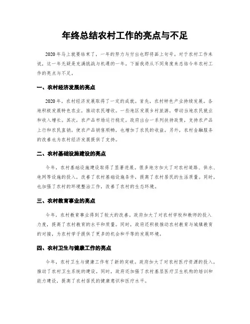 年终总结农村工作的亮点与不足