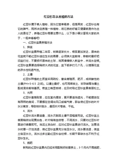红豆杉怎么养殖的方法