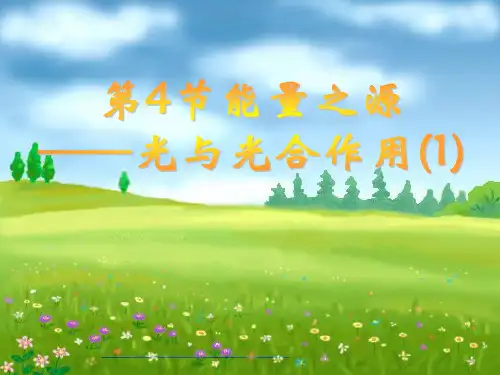 光合作用的探索历程