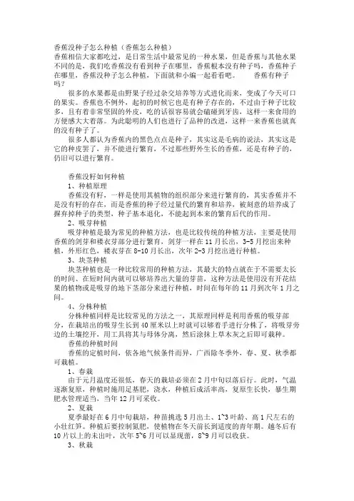 香蕉没种子怎么种植(香蕉怎么种植)