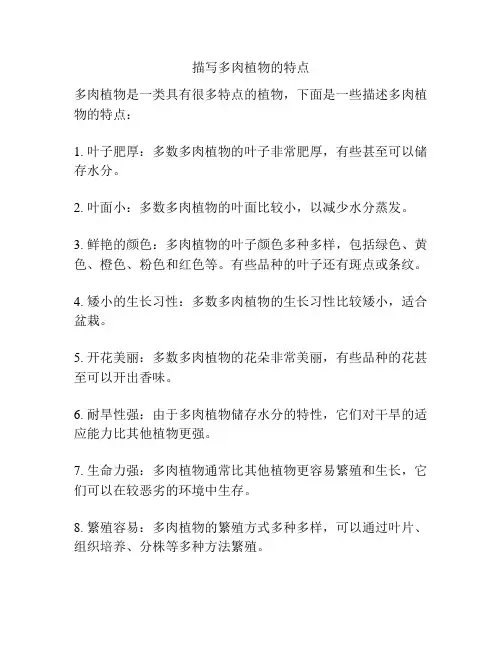 描写多肉植物的特点