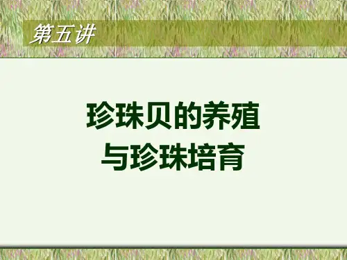 珍珠贝的养殖.ppt