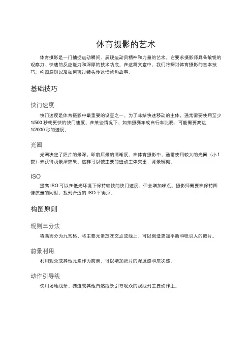 体育摄影的艺术