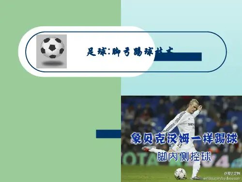 人教版初中初一七年级全一册体育与健康：足球：脚内侧踢球