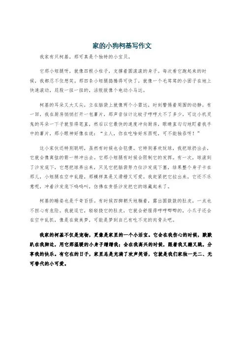 家的小狗柯基写作文