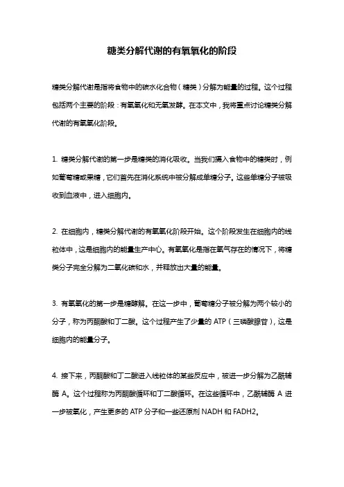 糖类分解代谢的有氧氧化的阶段
